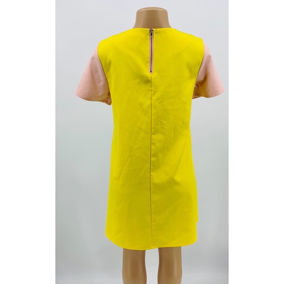 Color Block Shift Dress - Picture 5 of 8